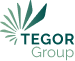 TEGOR Group